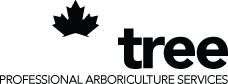 Acer Tree Professional Arboriculture Services